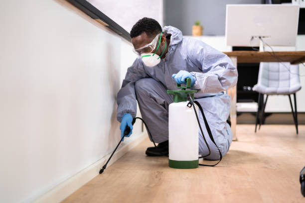 Best Residential Pest Control  in Newton, MS